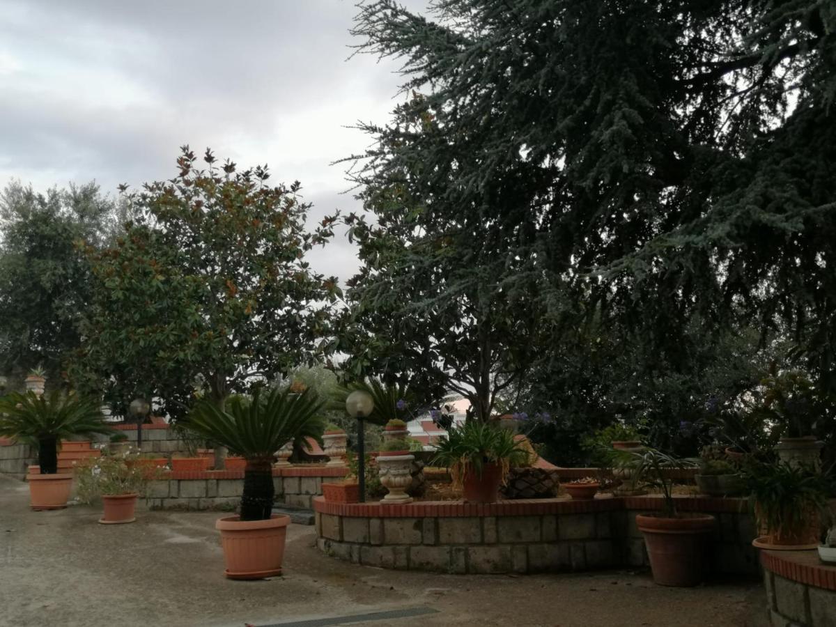 Villa Giannina Massa Lubrense Εξωτερικό φωτογραφία