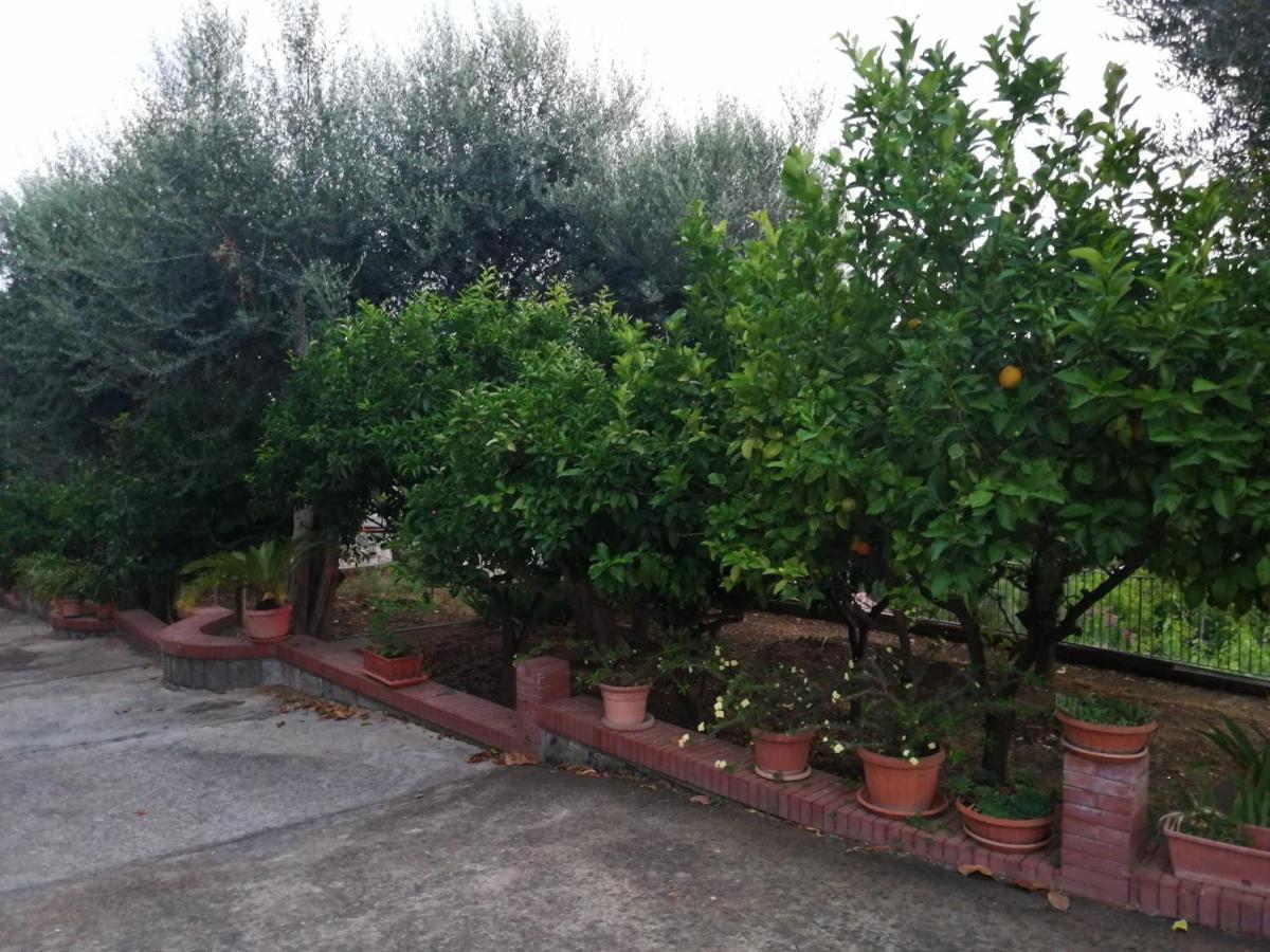 Villa Giannina Massa Lubrense Εξωτερικό φωτογραφία